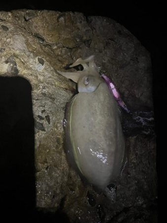 お久しぶりです!!