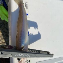 10月中旬だけでまだまだ暑い