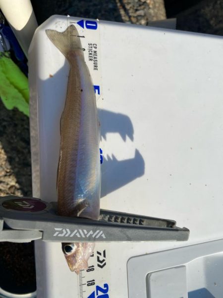 10月中旬だけでまだまだ暑い