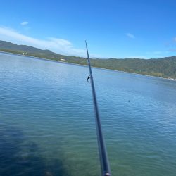 エグいほど渋い!