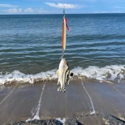 久しぶりのサーフ