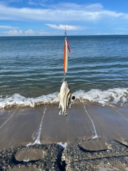 久しぶりのサーフ