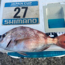 年間800尾越えのシロギスタ