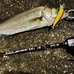 雨ニモマケズ…