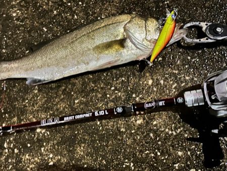 雨ニモマケズ…