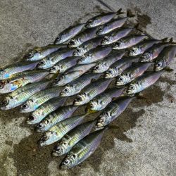 ポイントによって反応が全然違う!爆釣ポイントなら何ぼでも釣れます!!