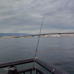 エソしか釣れん!