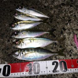 ちょっとサイズアップ？