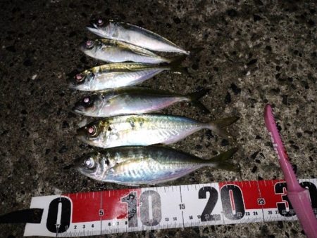 ちょっとサイズアップ？