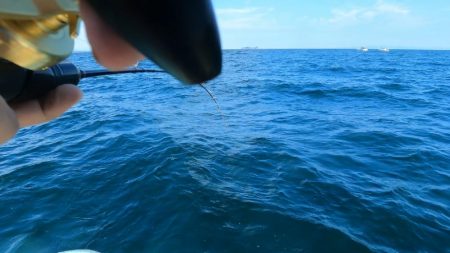 イカ釣りとタイラバ