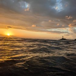 今年初鮭最高です!!😆