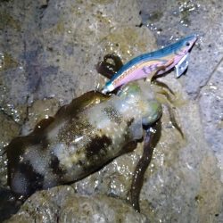 月明かりの無い大潮では