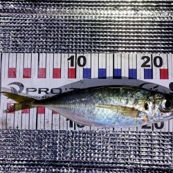 フロートアジング