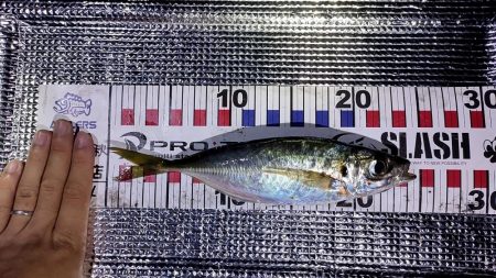 フロートアジング