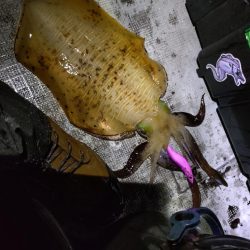 ティップランで初のキロアップ!