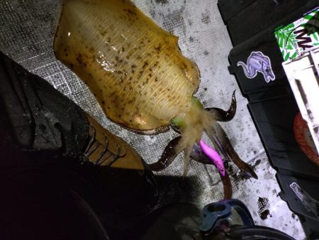 ティップランで初のキロアップ!