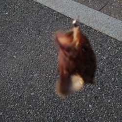 気が抜けてますわ。