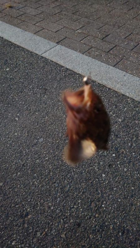 気が抜けてますわ。