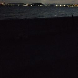 夕マヅメのひととき