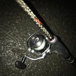 朝マズメにワームで太刀魚9匹GET