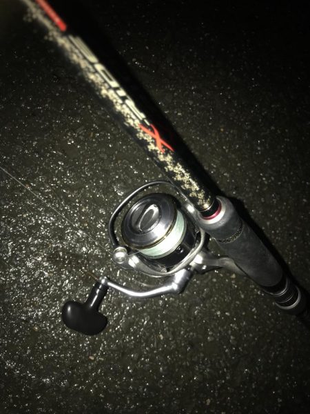 朝マズメにワームで太刀魚9匹GET