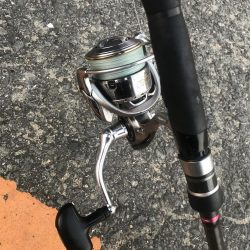 ダイソーテンヤで波止太刀魚釣り