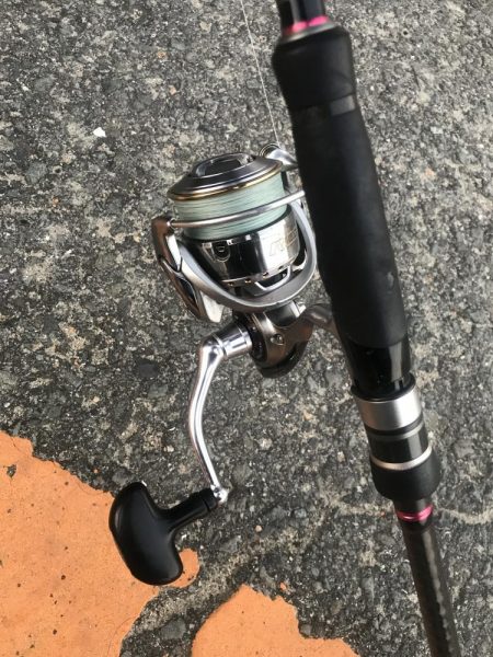 ダイソーテンヤで波止太刀魚釣り