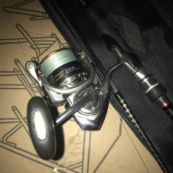 エコギア パワーシャッドで太刀魚8匹GET