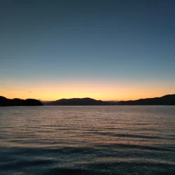 イカでかすぎー!