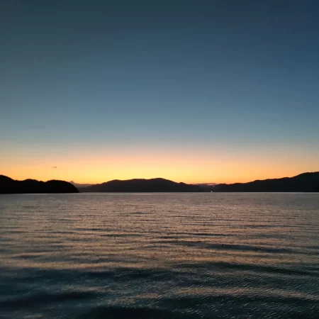 イカでかすぎー!