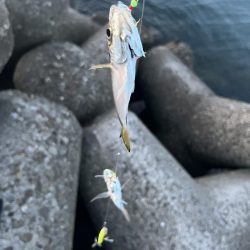 釣り人の特権かな