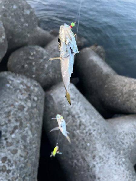 釣り人の特権かな