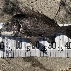 イチノ兄弟、釣果!