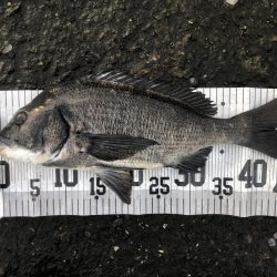 イチノ兄弟、釣果!