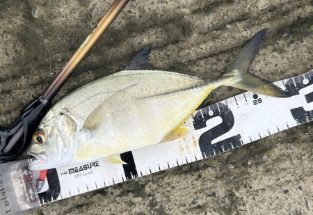 デカメッキと3種コンプ!