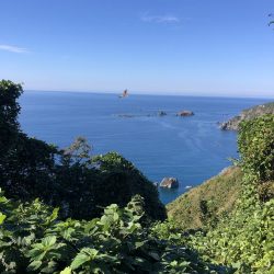 エギング 佐渡遠征⑤2日目