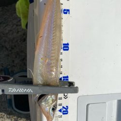 10月中旬だけでまだまだ暑い