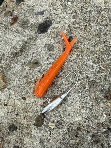 マゴチ ヒラメ釣り