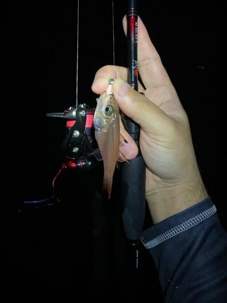 養老遠征エギング