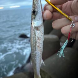 いろいろ釣れた