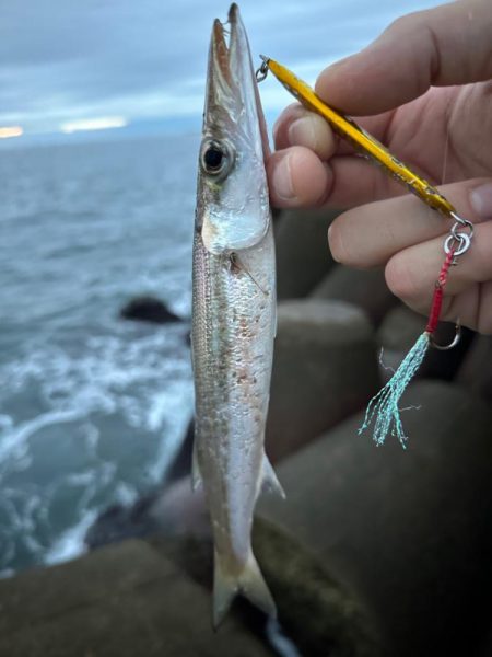 いろいろ釣れた