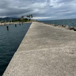 お久しぶりです!!