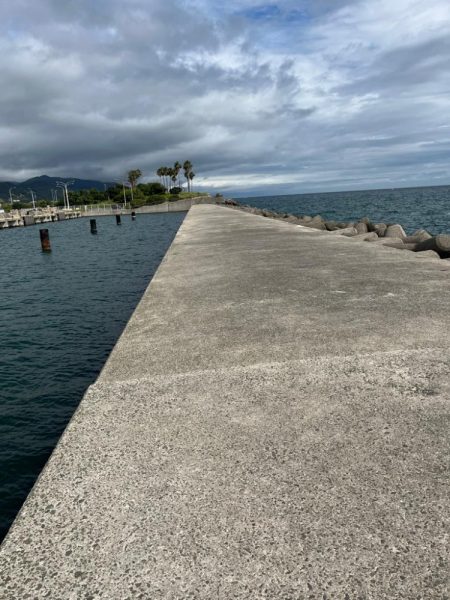 お久しぶりです!!