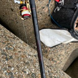 魚津港フカセ釣り