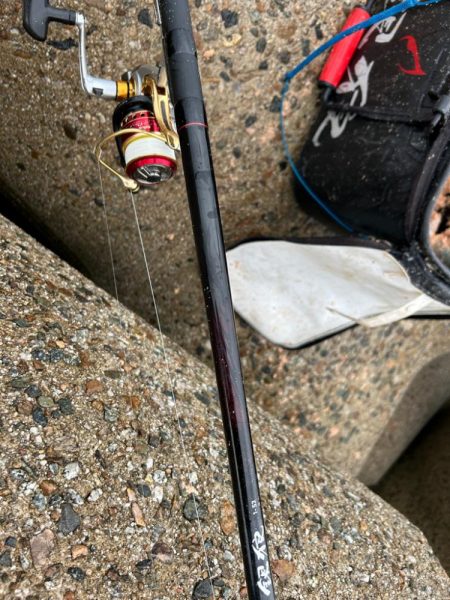 魚津港フカセ釣り