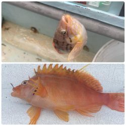 いつも悪天候(苦笑)