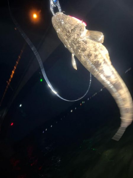 汽水湖の奥でマゴチ!!