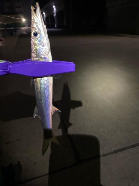 エギn…アジング!