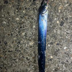 気持ちいい🎣🌪️