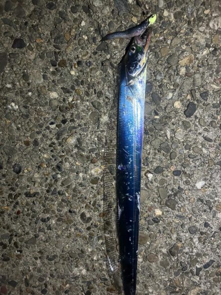 気持ちいい🎣🌪️